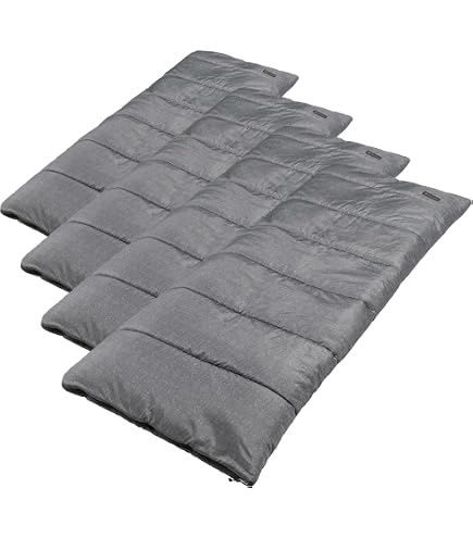 Amazon.co.jp: スノーピーク(snow peak) 寝袋 エントリーパックSS SET